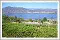 Vineyard For Sale - Okanagan Valley Vineyard and Executive Home For Sale - Lake Views - Canada Wine Country Real Estate