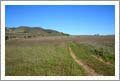 Santa Rita Valley AVA, California - Vineyard Land For Sale - Lompoc, California - Wine Real Estate