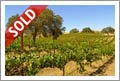 Sold Vineyard - Paso Robles Vineyard - SOLD