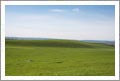 354 Acres - Paso Robles AVA Land For Sale - Vineyard Potential - Paso Robles, California - Wine Real Estate