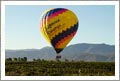 80 Acres - 42 Acre Vineyard - Development Potential - Temecula, California - Wine Real Estate
