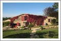 French Winery For Sale - French Vineyard For Sale - Farmhouse For Sale - Provence, France