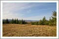 Oregon Wine Country Home For Sale - Oregon Vineyard Land For Sale - Prudential Northwest Properties