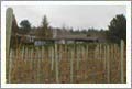 Naramata BC Vineyard and Home For Sale - Naramata, Canada - Wine Real Estate