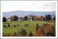 Luxury Villa Style Home and Vineyard For Sale - Virginia Luxury Real Estate