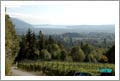 British Columbia, Canada - Averill Hills Vineyard Estates Lots For Sale - Wine Real Estate