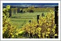 Waitaki Valley Estates - Central Otago, New Zealand - Wine Real Estate