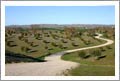 Paso Robles Olive Orchard / Grove For Sale - Creston, CA - Real Estate