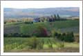 Nova Scotia, Canada - Dasygale Farm, Vineyard, and Home For Sale - Wine Real Estate