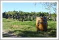 Argentina - Gavilan Wine Estates - Wine Estates For Sale