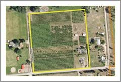11.56 Acres - Apple Orchard For Sale - Potential Vineyard - British Columbia Real Estate