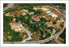 Portuguese Vineyard and Home For sale - Portugal Real Estate
