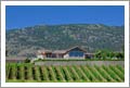 Okanagan Valley Wine Country Estate Home For Sale - Okanagan Valley Wine Country Real Estate - Vineyard