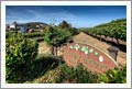Wineries For Sale - Southern California Winery, Vineyard and Custom Home Sale - Wine Country Real Estate