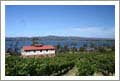 Tasmania, Australia - Winery, Vineyard, Home and Land For Sale - Devoit, Tasmania - Wine Real Estate