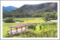 Southern Oregon Winery and Vineyard Property For Sale - Grants Pass, Oregon - Wine Real Estate