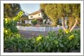 Northern California Home & Boutique Vineyard For Sale - San Benito County Wine Country Real Estate