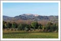 Winery For Sale - Tuscany Winery, Vineyard, Estate, and Olive Grove For Sale - Italy - Italian Wine Country