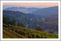 Virginia Winery, Vineyard, and Post and Beam Home For Sale - Virginia Wine Real Estate