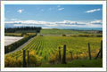 NZ Vineyard & Luxury Lodge Property - Huge Potential - Tiki Tiki Hills, Hawkes Bay, New Zealand - Wine Real Estate