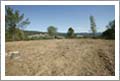 Vineyard Land For Sale - Santa Cruz County Land For Sale - Wine Country Real Estate