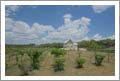 Winery For Sale - Canyon Lake, Tx - Vineyard and Winery For Sale - Hill Country - Wine Real Estate