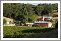 Winery For Sale - Paso Robles Winery, Tasting Room, Vineyard and Custom Home For Sale - Paso Robles Wine Country - Vineyard Drive