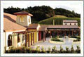 Award Winning New Zealand Vineyard, Winery, and Restaurant For Sale - Matakana, Auckland, New Zealand - Wine Real Estate