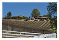 16 +/- Vineyard Estate Property For Sale - Paso Robles, California - Wine Real Estate