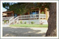 10 +/- Acres, Home, and Hobby Vineyard For Sale - San Miguel, California - Wine Real Estate