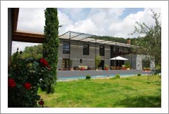French Vineyard For Sale - Provence, France