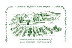French Vineyard For Sale - Provence, France