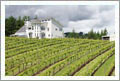 Oregon Custom Home & Vineyard For Sale - Corvallis, Oregon - Wine Real Estate