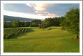New York Finger Lakes Vineyard For Sale - New York Home For Sale - Wine Real Estate