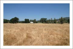 Napa Valley Ranch For Sale - Flying Mane Ranch - Wine Country Retreat