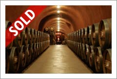 Napa Valley Vineyard and Winery For Sale - Wine Caves - Napa Valley - Wine Real Estate
