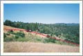 Santa Cruz County Land For Sale - Vineyard Potential - Boulder Creek, CA -  Wine Real Estate