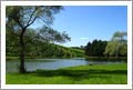 Wineries For Sale - Pennsylvania Winery, Vineyard and Land For Sale - Profitable Business For Sale