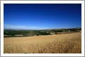Paso Robles, California - Land For Sale - Wine Real Estate