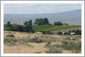 Red Mountain AVA Winery and Vineyard Potential - Benton City, Washington - Wine Real Estate