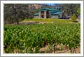 Vineyards For Sale - Sierra Foothills Large Custom Lodge Style Home For Sale - Mariposa Wine Country Real Estate