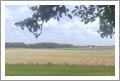 New Jersey Wine Country Homes For Sale - Vineyard Potential Land - Good Water - Near Wineries - NJ Wine Country Real Estate