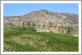 Okanagan Valley Vineyard and Home For Sale - B&B Potential - British Columbia, Canada