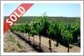 Sold Vineyard - Paso Robles Vineyard For Sale - SOLD