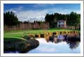 New Zealand Winery & Vineyard For Sale - Wine Country Home