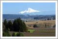 Vineyards For Sale - Oregon Pinot Noir Vineyard and Custom Home For Sale - Oregon Wine Country Real Estate