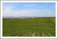 Useable 40 Acre Parcel in the Heart of Wine Country - San Miguel, California - Wine Real Estate