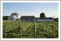Rhode Island Winery, Vineyard and Bed and Breakfast For Sale - Westerly, RI Real Estate