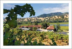 Mendocino County Luxury Wine Country Home & Zinfandel Vineyard For Sale - Ukiah Valley
