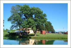 Illinois Winery, Vineyard and Home For Sale - Shawnee Hills Wine Trail Properties